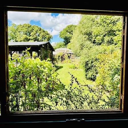 Hideaway Appartement Lytchett Matravers Buitenkant foto